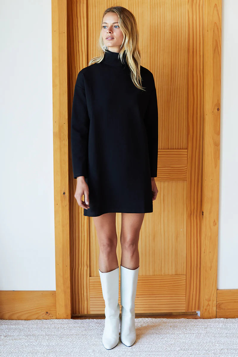 Edie Turtleneck Dress